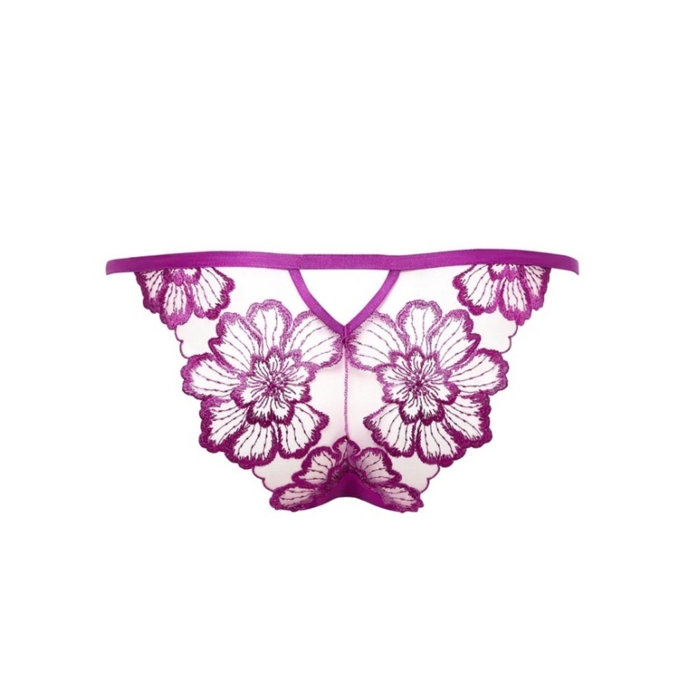 Bluebella Catalina brief size xs , 4 purple new wtags
